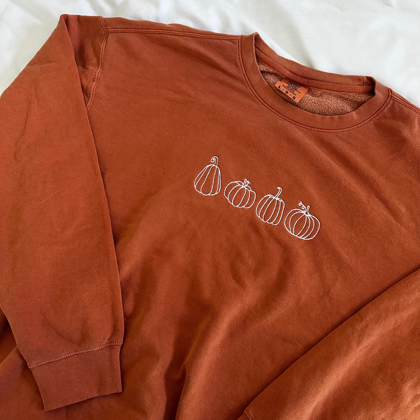 Pumpkins Embroidered Sweatshirt