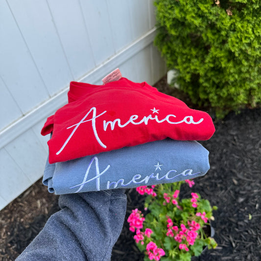 America Embroidered T-Shirt